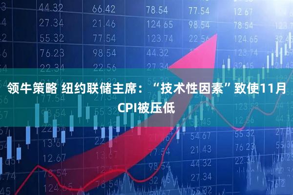 领牛策略 纽约联储主席：“技术性因素”致使11月CPI被压低